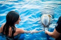 Portrait of young Caucasian woman smile with dolphin in pool water of Batumi delphinarium. Swim with dolphin experience concept