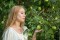 Portrait of a young cute blonde white girl near the tree with green apples. Royalty Free Stock Photo