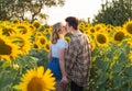 Portrait of a young cute couple kissing in a sunflower field Royalty Free Stock Photo