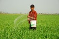 Portrait of a young farmer Royalty Free Stock Photo