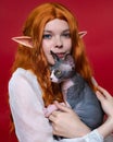 Portrait of young female cosplay elf, holding adorable Sphinx kitten in hands on red background Royalty Free Stock Photo