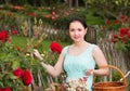 Portrait of young female holding a basket near roses in outdoor Royalty Free Stock Photo