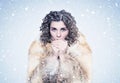 Portrait of a young frozen girl in a fox fur coat warming her hands, it is snowing around. Royalty Free Stock Photo