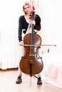 Portrait of young girl with a cello Royalty Free Stock Photo