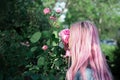 Portrait of young girl with pink hair sniffing rose flower.