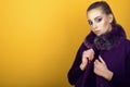 Portrait of young gorgeous model with ponytail and artistic make-up wearing trendy purple sleeveless coat with fur collar