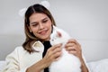 Portrait of young happy smiling woman holding cute white Persian cat, happy beautiful lady playing with fluffy pet, girl hugging Royalty Free Stock Photo