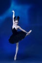 Portrait of young incredibly beautiful woman, ballerina in black ballet outfit, tutu dancing at blue studio full of Royalty Free Stock Photo