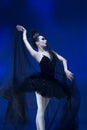 Portrait of young incredibly beautiful woman, ballerina in black ballet outfit, tutu dancing at blue studio full of Royalty Free Stock Photo