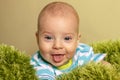 Portrait of young innocent smiling baby. Small boy lies on knitted green plaid like a grass. Positive
