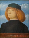 Portrait of Young Man Attributed to Giovanni Bellini