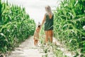 Portrait of young mother with her little daughter enjoying a summer day in the corn field Royalty Free Stock Photo