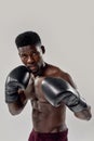 Portrait of young muscular african american male boxer looking at camera, wearing boxing gloves, standing isolated over Royalty Free Stock Photo