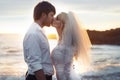 Portrait of a young newlyweds Royalty Free Stock Photo