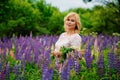Portrait of a young plump blonde woman in a blooming field of lupines. A woman collects a bouquet of lilac-pink flowers in a Royalty Free Stock Photo