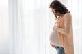 Portrait of young pregnant attractive woman, standing by the win