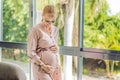 Portrait of young pregnant woman standing near window holding hands on her belly at modern home with copy space Royalty Free Stock Photo