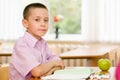 Portrait of young schoolboy looking at camera