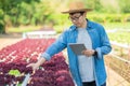 Portrait of young smart farmer using digital tablet computer for inspecting. using technology in agriculture field application in Royalty Free Stock Photo