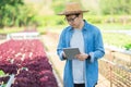 Portrait of young smart farmer using digital tablet computer for inspecting. using technology in agriculture field application in Royalty Free Stock Photo