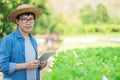 Portrait of young smart farmer using digital tablet computer for inspecting. using technology in agriculture field application in Royalty Free Stock Photo