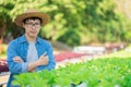 Portrait of young smart farmer using digital tablet computer for inspecting. using technology in agriculture field application in Royalty Free Stock Photo