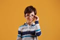 Portrait of young smart schooler in the studio against yellow background