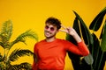 Portrait of young smiling man showing victory sign with one hand on yellow background with green plants Royalty Free Stock Photo