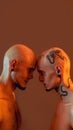 Portrait of young twin brothers with tattoos and piercings standing head to head, looking at each other isolated over Royalty Free Stock Photo