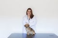 Portrait of a young veterinarian woman examining a cute small dog by using stethoscope, isolated on white background. Indoors Royalty Free Stock Photo