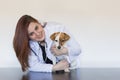 Portrait of a young veterinarian woman examining a cute small dog by using stethoscope, isolated on white background. Indoors Royalty Free Stock Photo