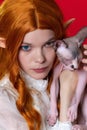 Portrait of young woman cosplay elf with red hair in white dress holding half asleep Sphinx kitten Royalty Free Stock Photo