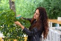 Botany. The concept of landscaping in cafes and restaurants.