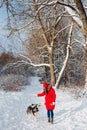 Portrait of a young woman with dog husky on winter walk. Royalty Free Stock Photo