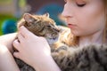 Portrait of young woman holding a cat in her arms. Pretty lady holding little sweet, adorable kitten