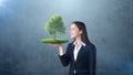 Portrait of young woman holding green tree on the open hand palm, over isolated studio background. Business, eco concept Royalty Free Stock Photo