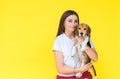 Portrait of young woman holding young red beagle puppy on the yellow background. Copy space Royalty Free Stock Photo