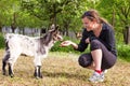 Portrait of a young woman playing baby goat Royalty Free Stock Photo