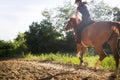 Portrait of young woman riding horse in countryside Royalty Free Stock Photo