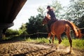 Portrait of young woman riding horse in countryside Royalty Free Stock Photo