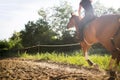 Portrait of young woman riding horse in countryside Royalty Free Stock Photo