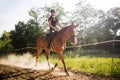 Portrait of young woman riding horse in countryside Royalty Free Stock Photo