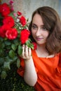 Portrait of young woman in the spring time. Red roses flowers blossoms. Girl dressed in red dress smelling roses in garden. Royalty Free Stock Photo