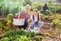 Portrait of a young woman with a teenage girl in the vegetable garden with a basket of crops Royalty Free Stock Photo