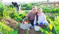 Portrait of a young woman with a teenage girl in the vegetable garden with a basket of crops Royalty Free Stock Photo