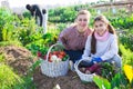 Portrait of a young woman with a teenage girl in the vegetable garden with a basket of crops Royalty Free Stock Photo