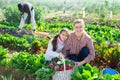 Portrait of a young woman with a teenage girl in the vegetable garden with a basket of crops Royalty Free Stock Photo