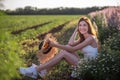 Portrait of a young woman who laughs with an open smile, holding a straw hat, holding wild daisies. A girl sits among a field of Royalty Free Stock Photo