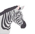 Portrait of zebra drawing color, vector