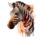 Portrait of a zebra made in watercolor technique on a white background. African herbivore with watercolor splashes. Royalty Free Stock Photo